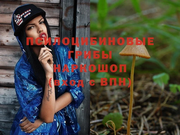 СК Лихославль